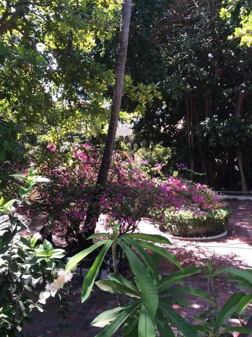Apartamento Santo Domingo Apartamento Cartagena